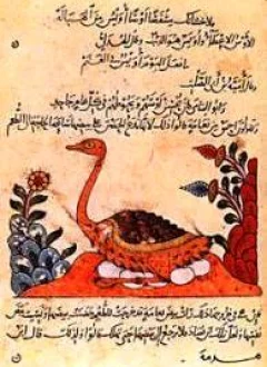 غلاف كتاب البخلاء - عمرو بن بحر الجاحظ