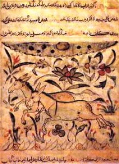 غلاف كتاب البيان والتبيين - عمرو بن بحر الجاحظ