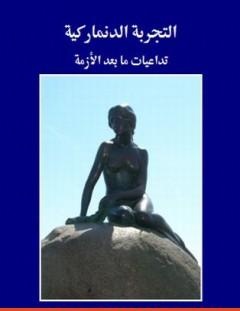 غلاف كتاب التجربة الدنماركية - تداعيات ما بعد الأزمة - أيمن زهري