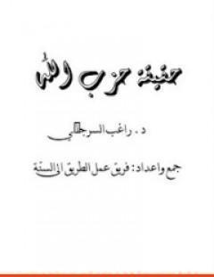 غلاف كتاب حقيقة حزب الله - راغب السرجاني